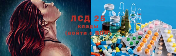 гидропоника Алексеевка