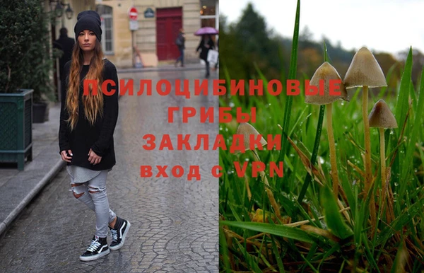 гидропоника Алексеевка